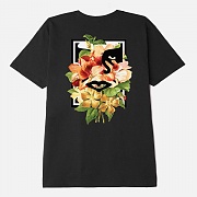 (165263026) ÷η  ̽ Ƽ BLACK