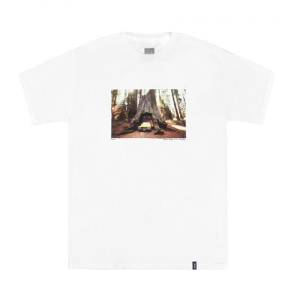 FAMILY ACID - SEQUOIA GARAGE TEE-WHT