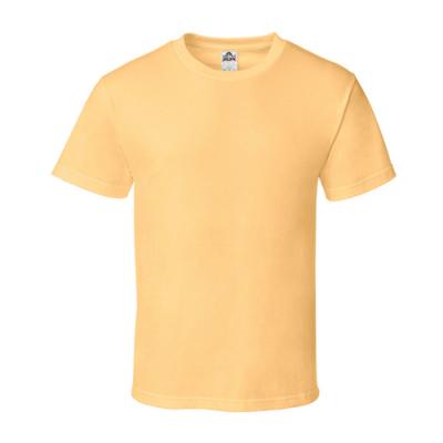 ADULT TEE-SQUASH