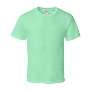 ADULT TEE-MINT