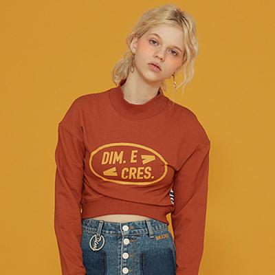 SIMPLE LOGO CROP SLEEVE TEE_BROWN