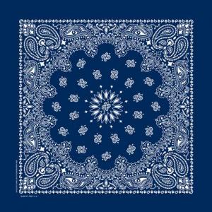 Paisley Bandana-NVY