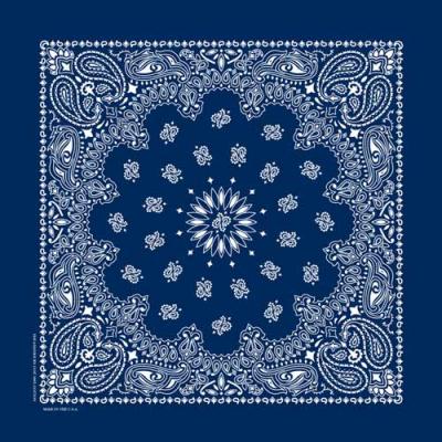 Paisley Bandana-NVY