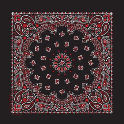 Paisley Bandana-BLK/RED