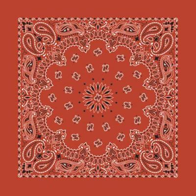 Paisley Bandana-TERRACOTTA