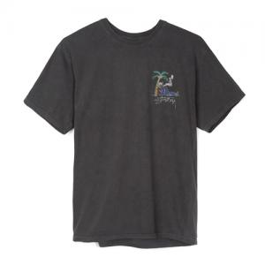 RUB A DUB PIG. DYED TEE-BLK