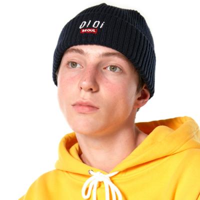 LOGO POINT BEANIE_navy