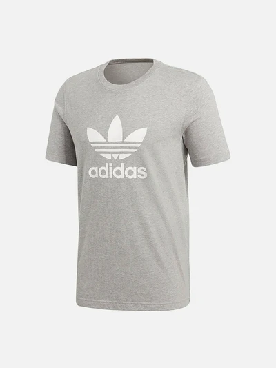 (CY4574) TREFOIL TEE-GREY