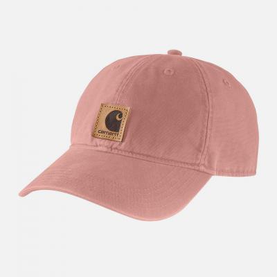 (100289)  ĸ CAMEO BROWN (B51)