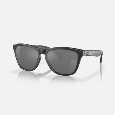 (9013-F7) α׽Ų Ʈ (BLACK POLARIZED)